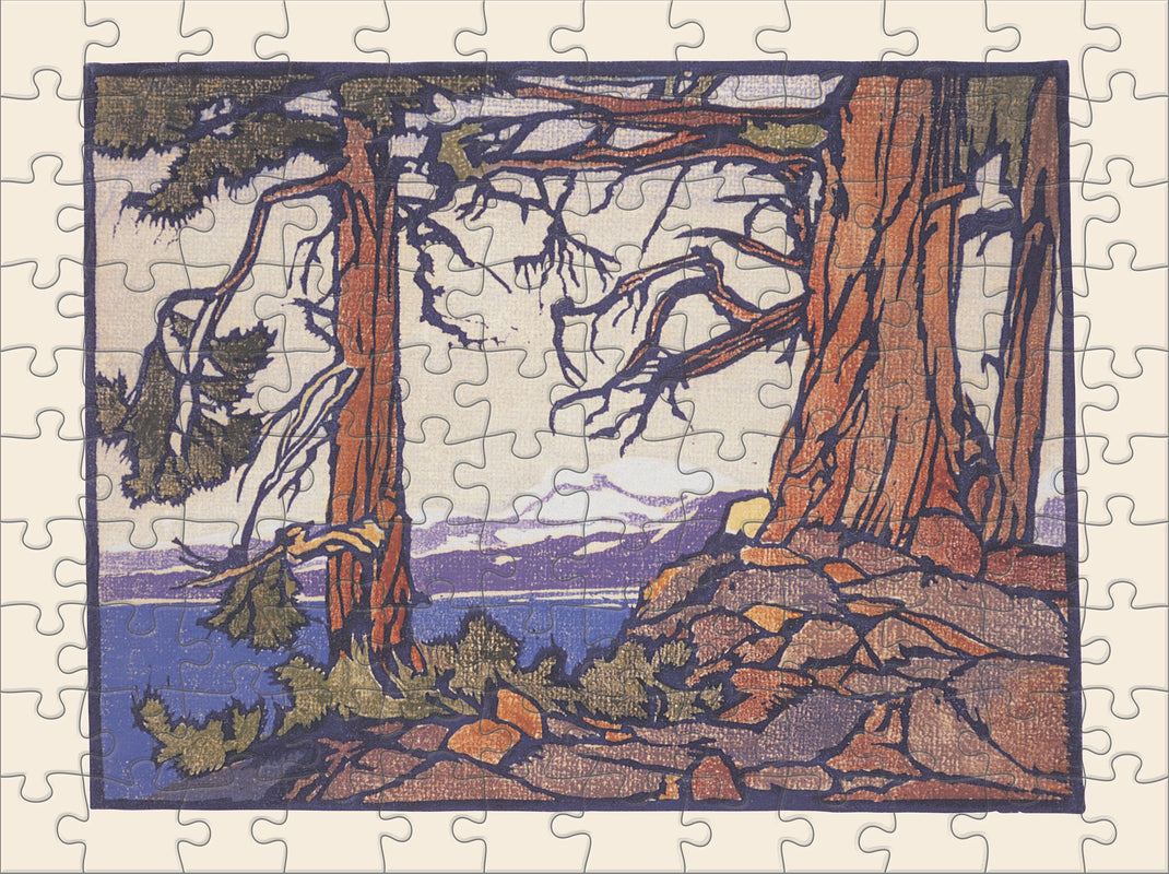 William S. Rice Double-Sided Jigsaw Puzzle Set 2x120pc