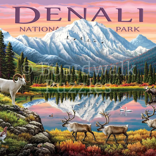 Denali National Park 500pc