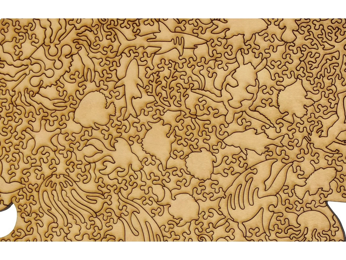 Jellyfish 489pc