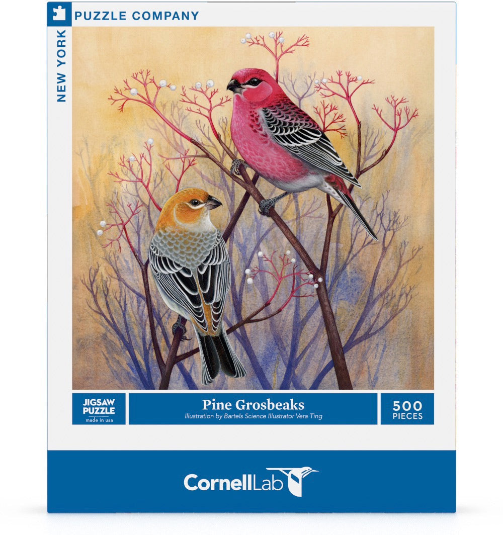Pine Grosbeaks 500pc