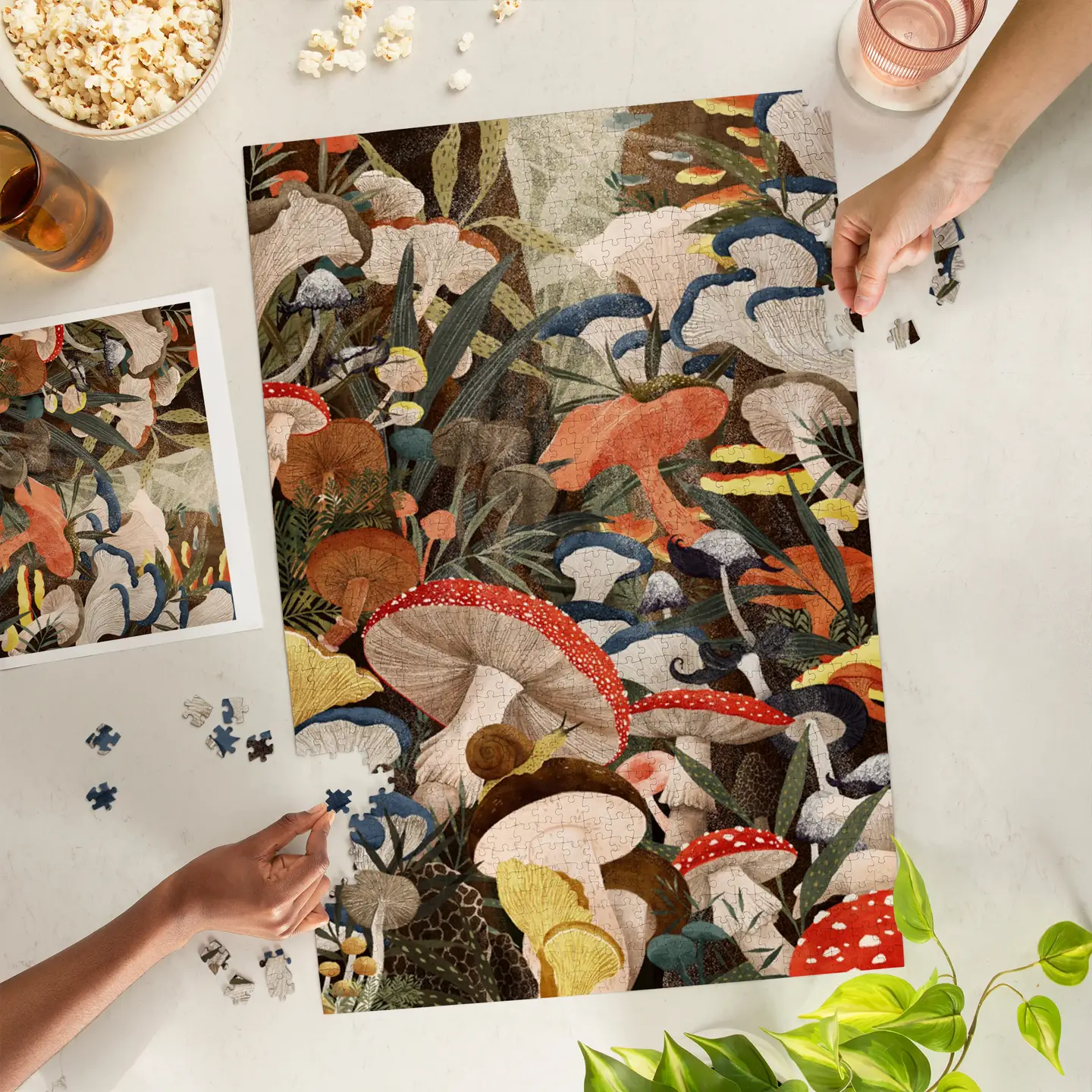 Woodland Mushrooms Collage 1000pc