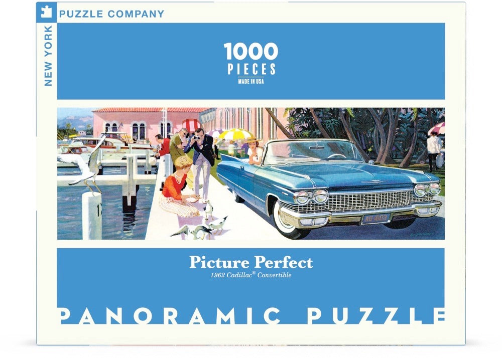 Picture Perfect Panoramic 1000pc