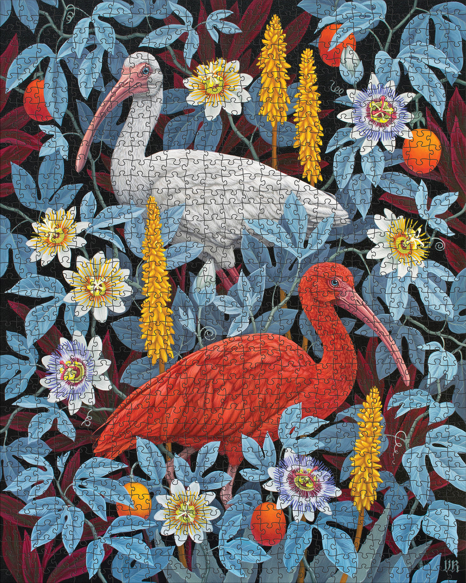 Vasilisa Romanenko: Ibises 1000pc