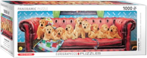 Lounging Labs Panoramic 1000pc