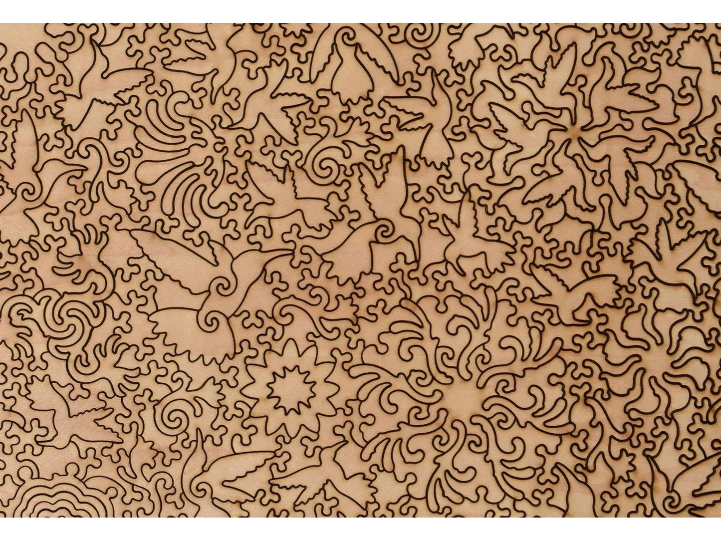 A Charm of Hummingbirds 579pc