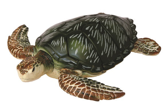 4D Green Turtle Hand-Painted 22pc