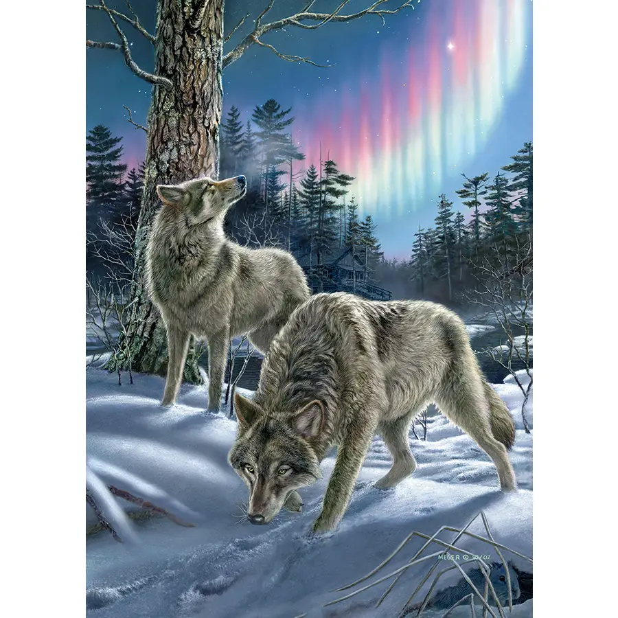 Northern Lights 500pc