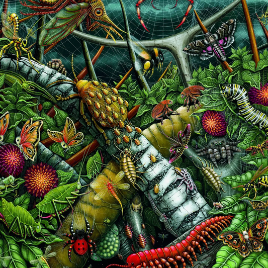 Orb Weavers (Velvet-Touch) 1000pc