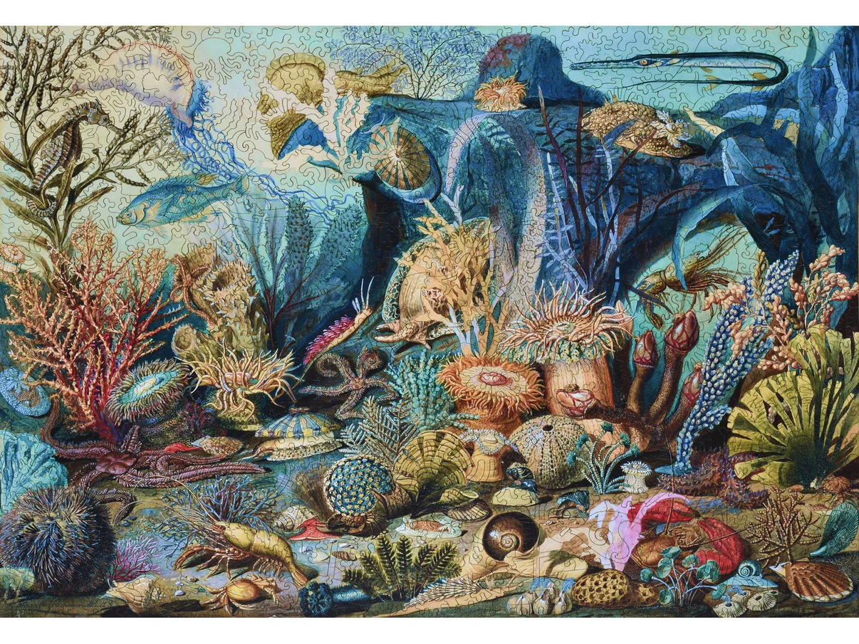 Ocean Life 769pc