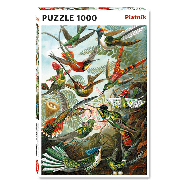 Hummingbirds - Haeckel 1000pc