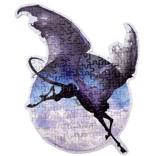 Harry Potter Gift Set - Mythical Creatures 4x120pc
