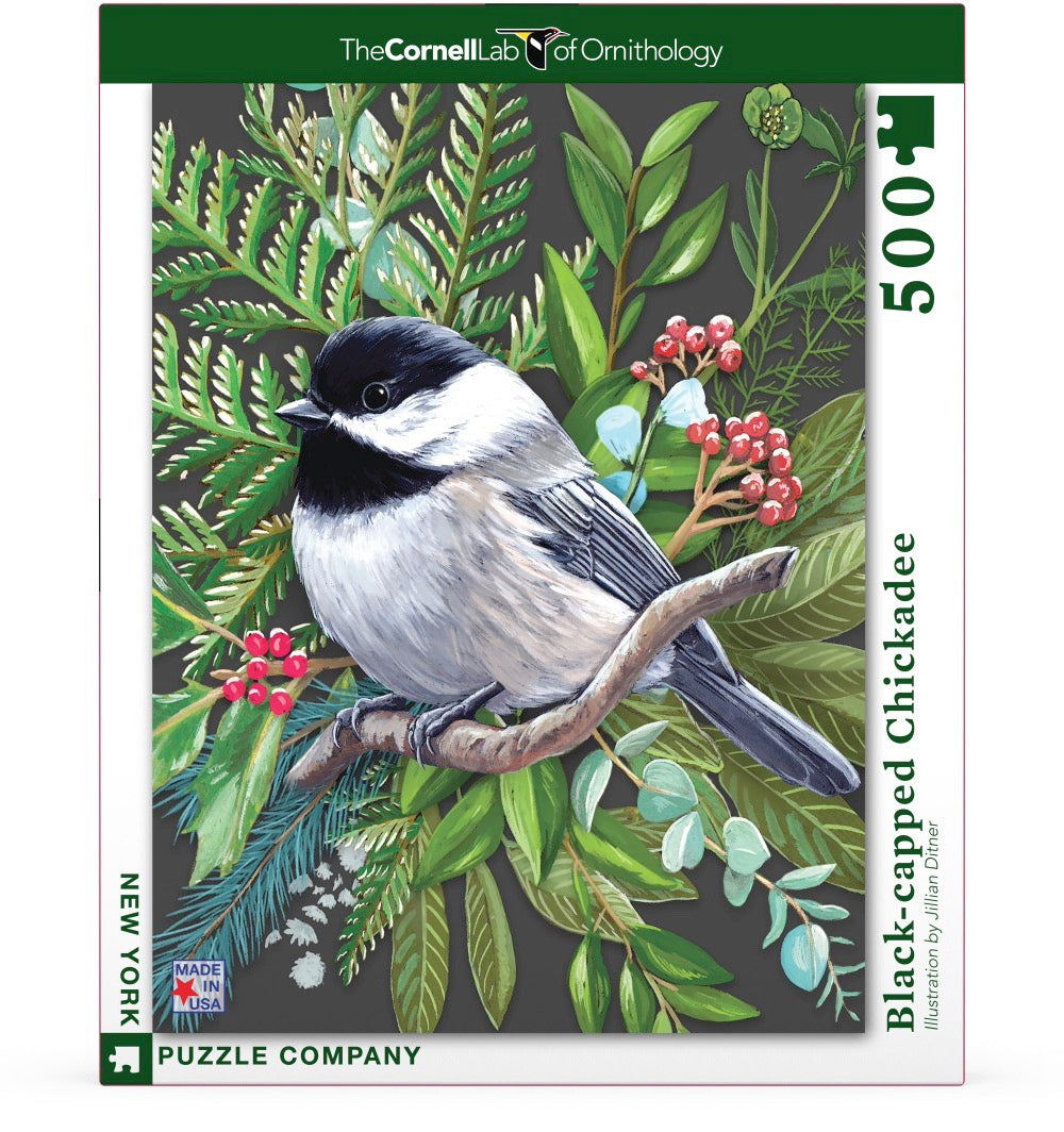 Cornell Ornithology: Black-capped Chickadee 500pc