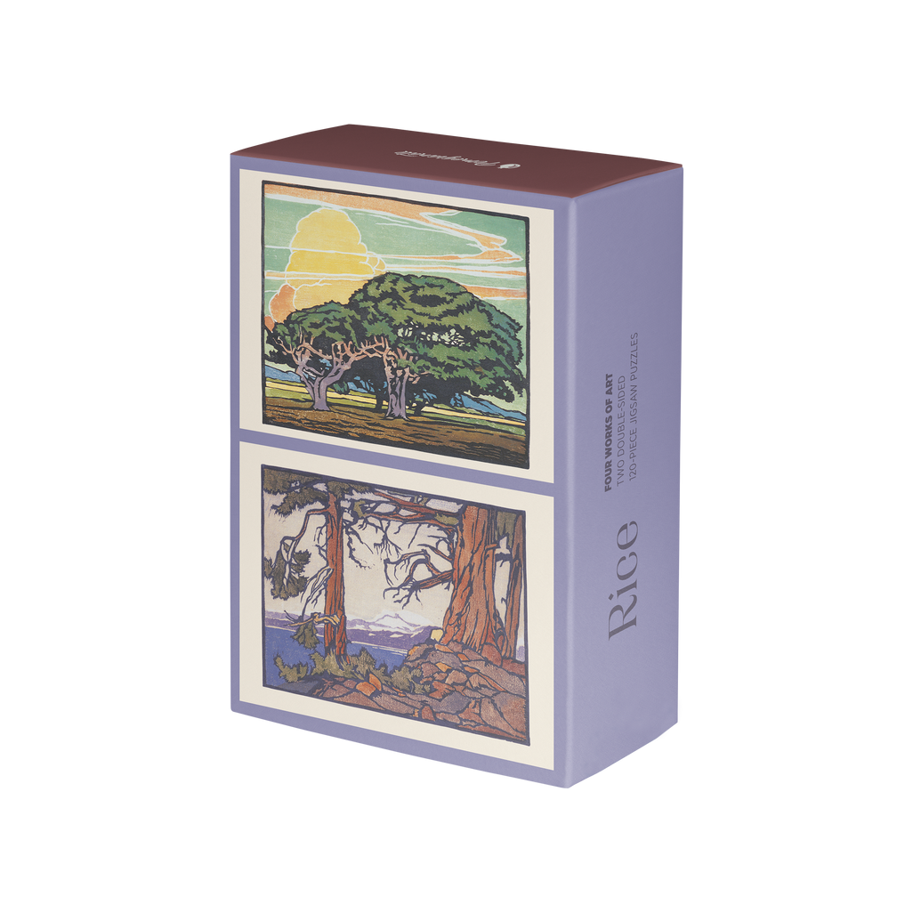 William S. Rice Double-Sided Jigsaw Puzzle Set 2x120pc