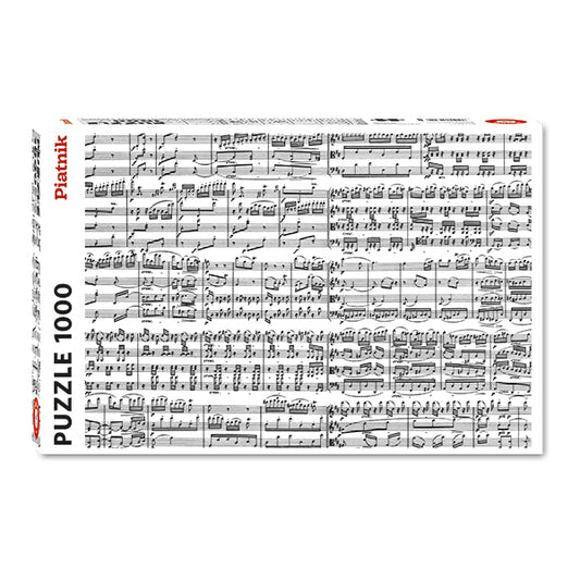 Music Notes 1000pc