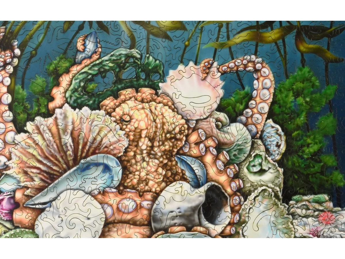 Tentacles & Treasures 555pc