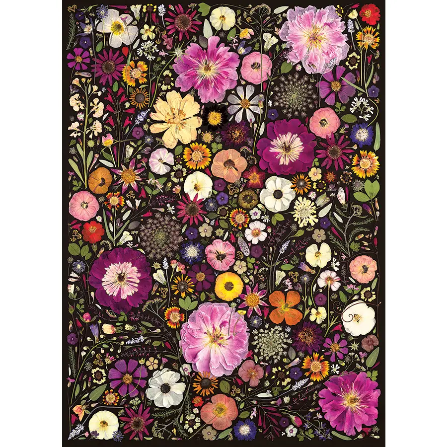Flower Press: Little Hollow & Red Daisy 500pc