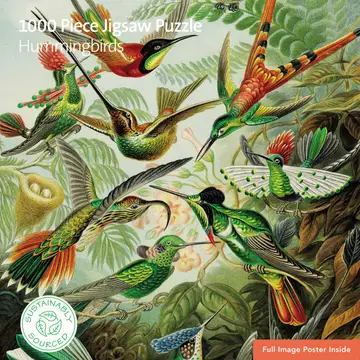 Hummingbirds 1000pc