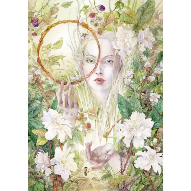 Daphnis (Velvet-Touch) 1000pc