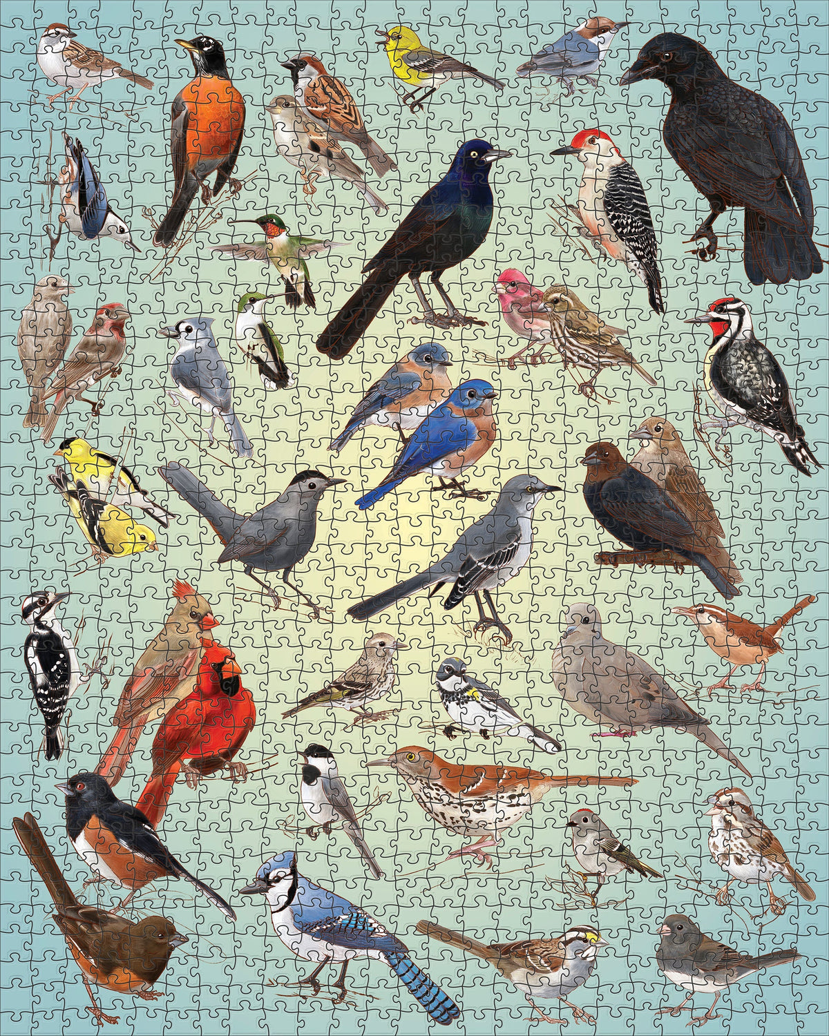 Casey Girard: Backyard Birds 1000pc