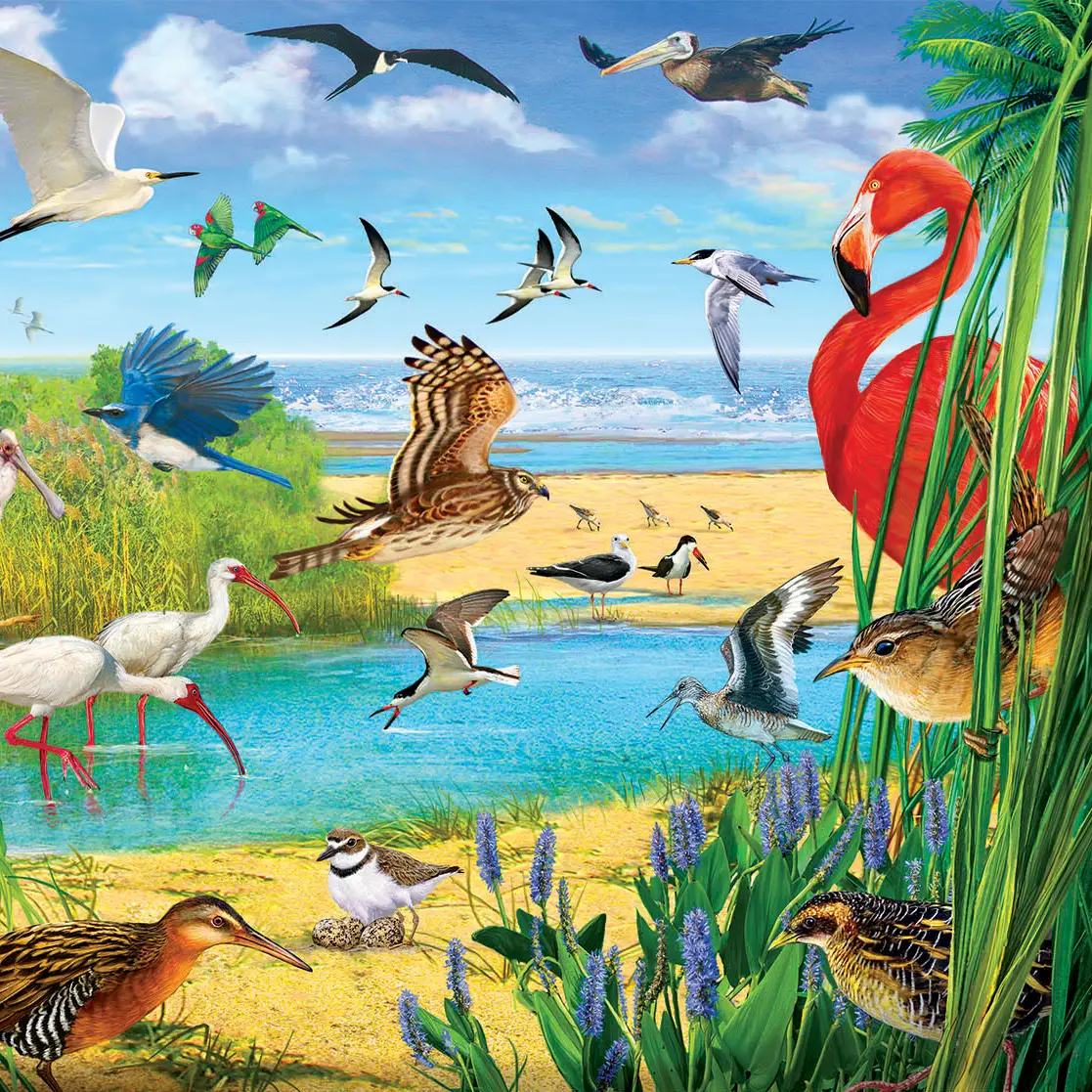 Florida Birds 1000pc