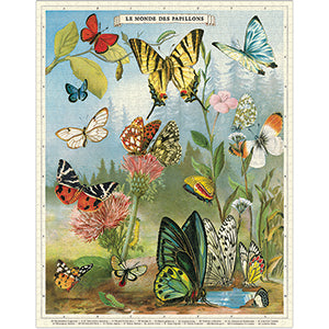 World of Butterflies 1000pc