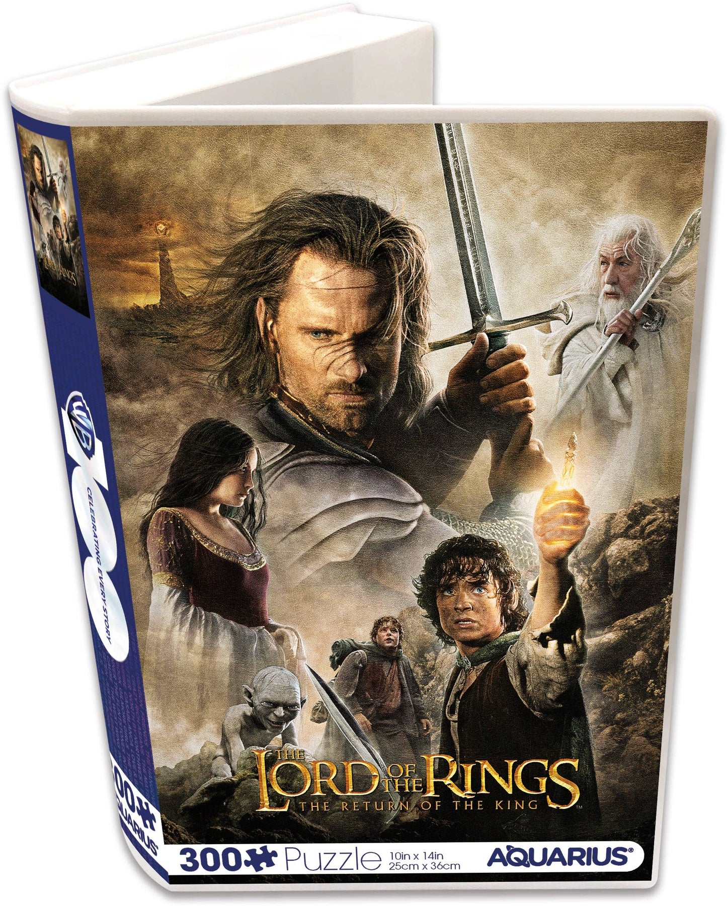 Lord of The Rings 300pc
